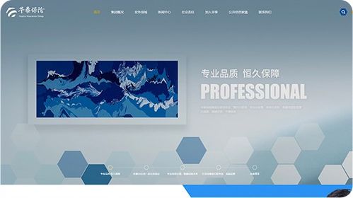 品牌網站建設 官方網站建設 大型行業門戶網站設計 北京分形科技